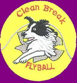 Clean Break Logo